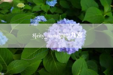 德阳2022九宫