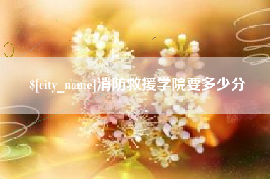 德阳消防救援学院要多少分