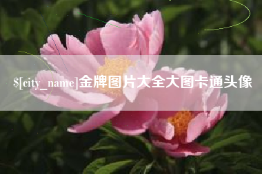 德阳金牌图片大全大图卡通头像