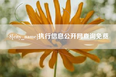 德阳执行信息公开网查询免费