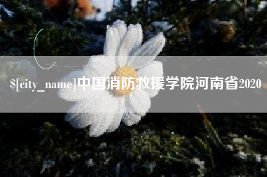 德阳中国消防救援学院河南省2020